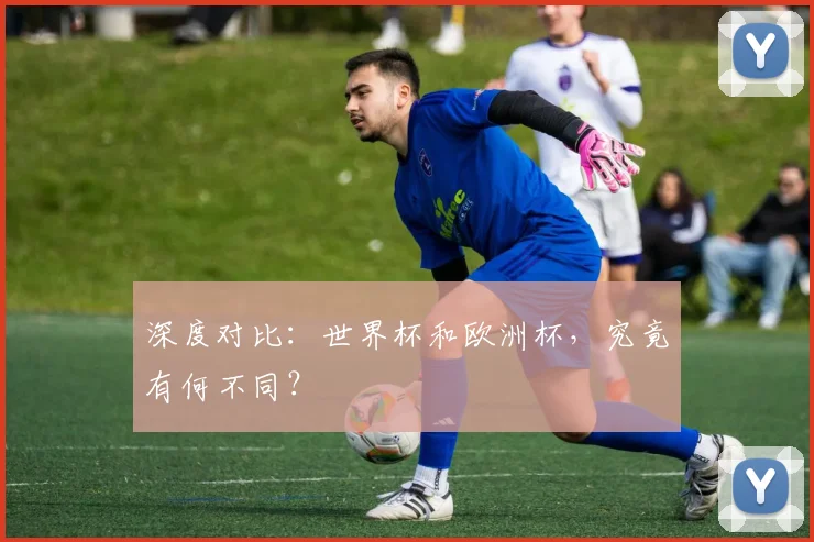 深度对比：世界杯和欧洲杯，究竟有何不同？