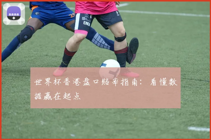 世界杯香港盘口赔率指南：看懂数据赢在起点