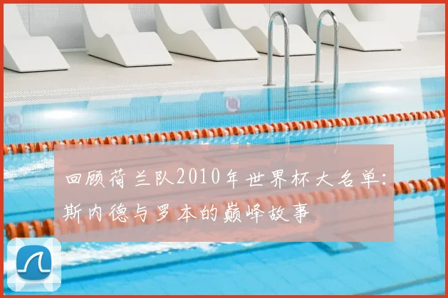 回顾荷兰队2010年世界杯大名单：斯内德与罗本的巅峰故事