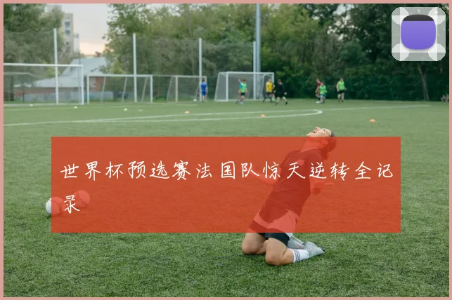 世界杯预选赛法国队惊天逆转全记录