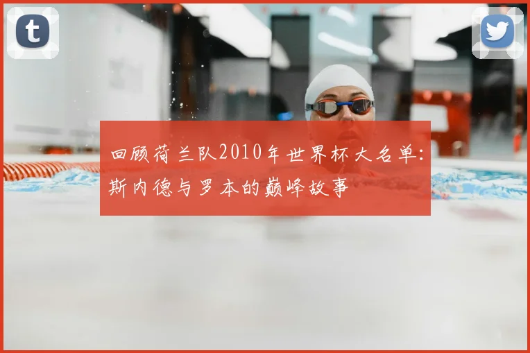 回顾荷兰队2010年世界杯大名单：斯内德与罗本的巅峰故事